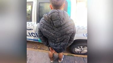 Sobre el ahora detenido pesaba un pedido de captura por robo y resistencia a la autoridad.&nbsp;