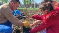 PLANTACIÓN. La actividad fue compartida por las familias.