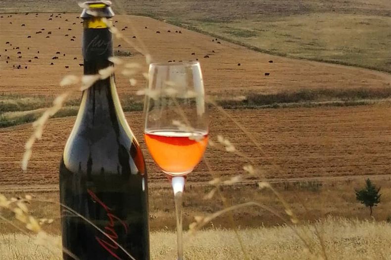 La Ruta del Vino en la Provincia de Buenos Aires. (diariodecultura.com.ar)..jpg