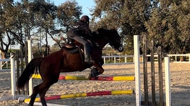 Haras del Sol tendrá una pista soñada para los amantes del Salto hípico.