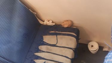 La página del lector