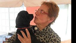 Silvia Gómez, una activista por el bienestar perros y gatos..