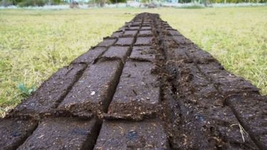 ?bio troncos?, el invento que reemplaza el carbon y la lena
