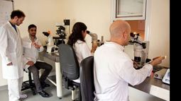 Científicos de Kheiron en su laboratorio, en Parque Austral de Pilar..