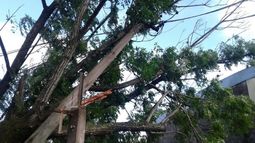 Más de 23 mil hogares sin luz e importantes destrozos