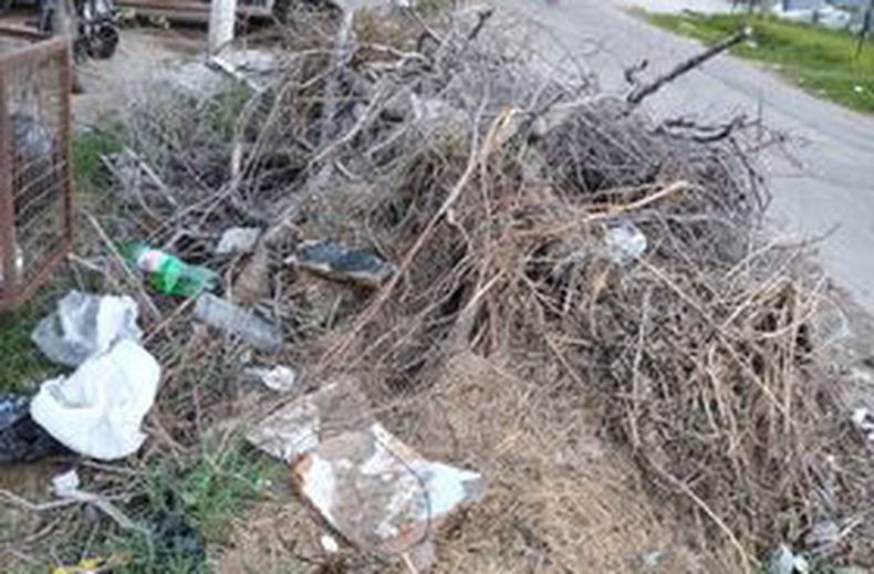 Al área que corresponda de la Municipalidad del Pilar, solicito el retiro de ramas y basura que se encuentra acumulada hace varios meses desde el temporal, en la vereda de la calle Fragata Heroína 1346, barrio Villa Verde, ya se realizaron varios reclamos al Punto Muni (mediante WhatsApp) y no hemos tenido ninguna respuesta, con esta acumulación de ramas y basura se corre el riesgo de que los vecinos le prendan fuego y que todo pase a una mayor problemática. Esperamos una pronta respuesta. Desde ya muchas gracias. Mariela Barcos.