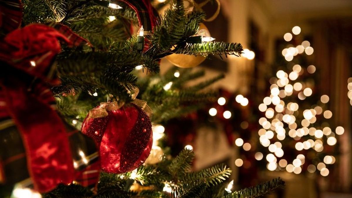Todo lo que debes poner en tu árbol de navidad y qué representa cada  elemento