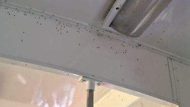 Buenas, yendo a Retiro (tren Belgrano Norte) me di cuenta que hay pocos mosquitos en el tren por suerte. Todo el primer vagón después de la locomotora lleno de mosquitos. Matias Soler.