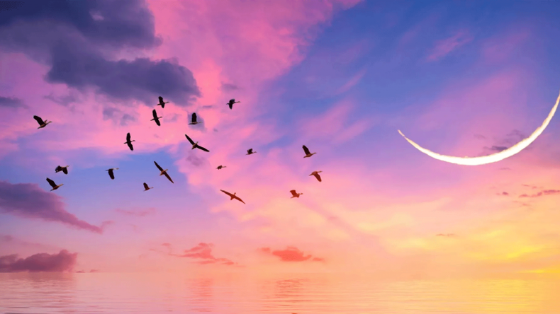 f800x450 123658_175104_5050.png
