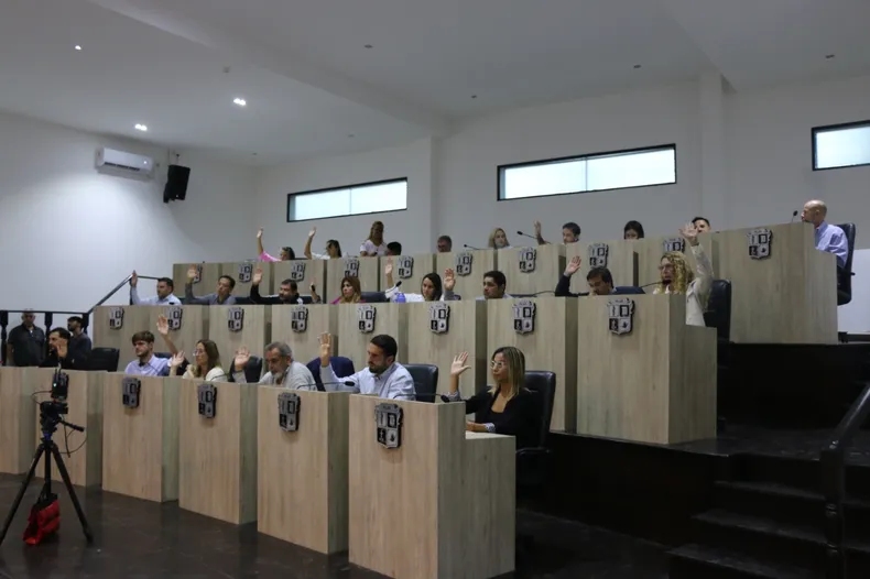 DEBATE. El Concejo prorrogó el plazo para presentar el presupuesto.