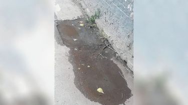 Foto de lectores