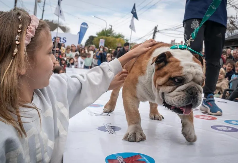 Se realizará un desfile de perros. (sanisidro.gob.ar)..webp