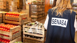 El Gobierno reorganizó el control de alimentos, por lo que el SENASA absorberá registros y fiscalización y Salud definirá políticas alimentarias.