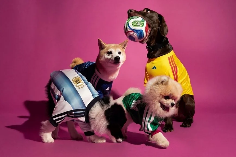 Los perros ahora también alientan con camiseta. (Adidas).