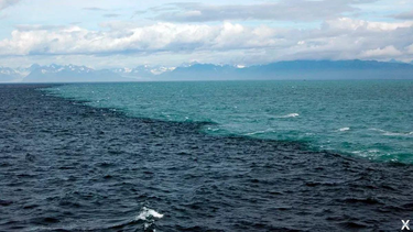 Las aguas de los océanos Atlántico y Pacífico, ¿se mezclan, o no?