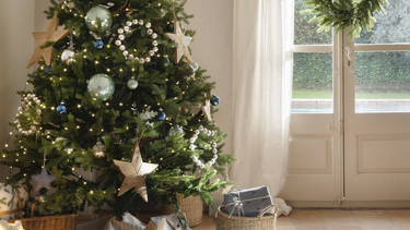 donde ubicar el arbol de navidad para atraer la prosperidad