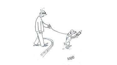 Humor