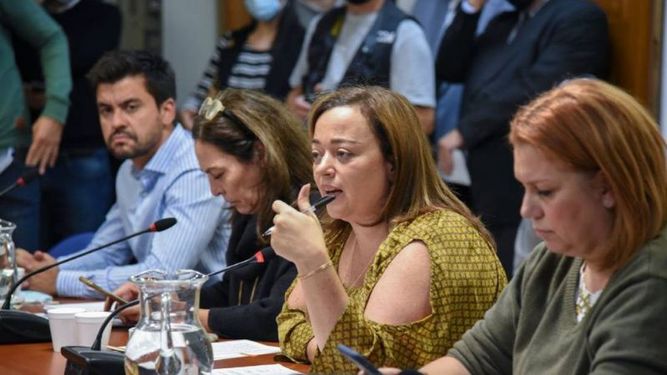 DEBATE. La diputada Cecilia Moreau, presidenta de la comisión de Legislación General. .