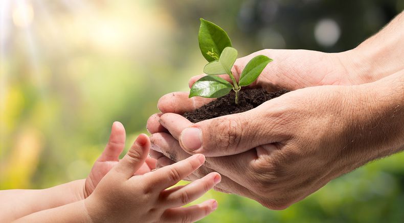 Día Nacional de la Conciencia Ambiental. (agritecno.es)..jpg