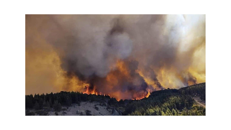 Se podría tardar más de tres meses en detener estos incendios. (msn.com).