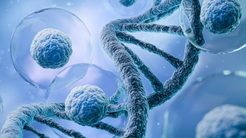 Un algoritmo epigenético puede rastrear el origen del cáncer. (cronista.com).