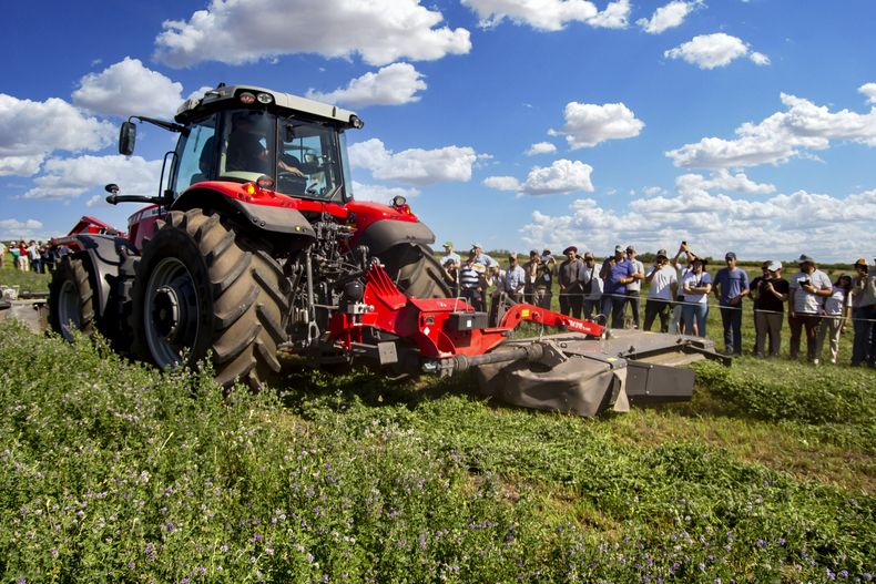 Massey Ferguson, presente en Expoalfa 2024.&nbsp;