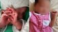 Nahiara ya había nacido con cocaína en sangre. Nahiara ya había nacido con cocaína en sangre.