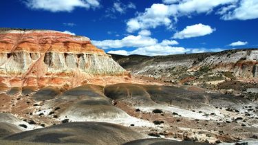 ¡el bosque petrificado mas extenso del mundo es argentino!