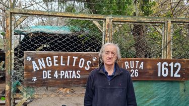 AMORES PERROS. Alfredo tiene refugios desde hace 60 años.
