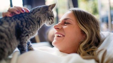 Pilar a Diario | Los gatos prefieren a las-mujeres. Foto Mascotasmania.es.jpg