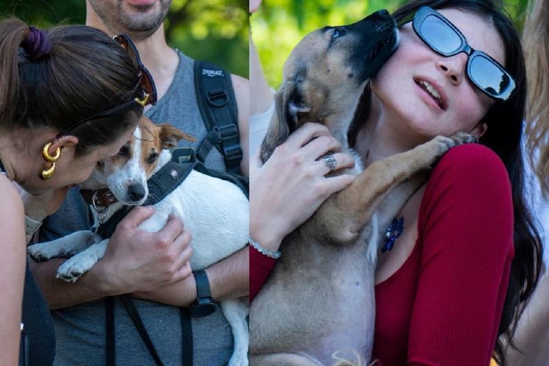 Fallo histórico en Jujuy: el caso del perro Cafrune. (todojujuy.com).