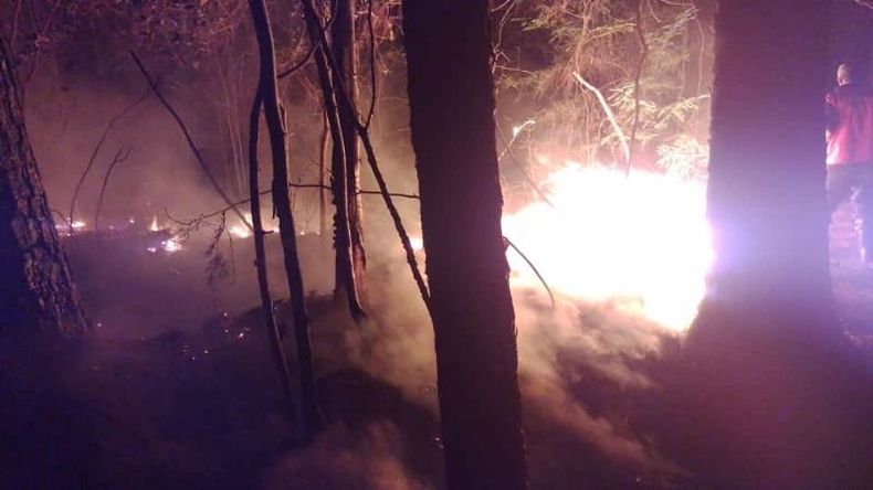 BOSQUE EN LLAMAS. El fuego se extendió por más de 12 horas..