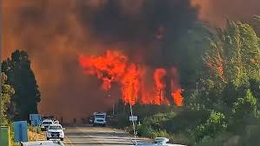 Más de 1.600 hectáreas fueron arrasadas por el fuego en El Bolsón.&nbsp;
