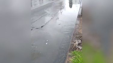 NAUSEABUNDO. Las aguas servidas corren por la calle Guido..