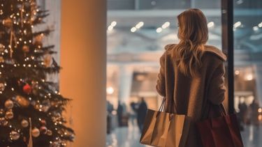 La noche de los comercios tendrá lugar los próximos 22 y 23 de diciembre en Presidente Derqui.&nbsp;