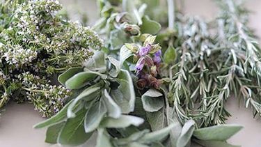 plantas que puedes usar como incienso