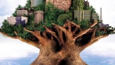 beneficios de los arboles en las ciudades