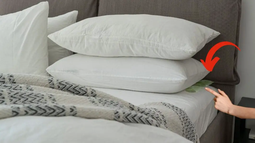 ¿Por qué se colocan hojas de laurel bajo la almohada?