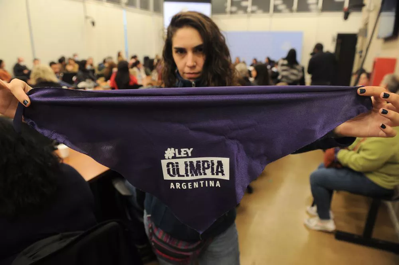 NO A LA VIOLENCIA DIGITAL. La Ley Olimpia argentina avanza en la Cámara de Diputados.&nbsp;