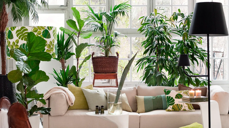 Añadir plantas. (revistaad.es)..webp