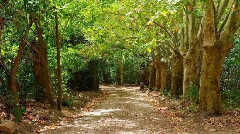 SENDERO. El ambiente natural del parque recibirá a los artesanos..