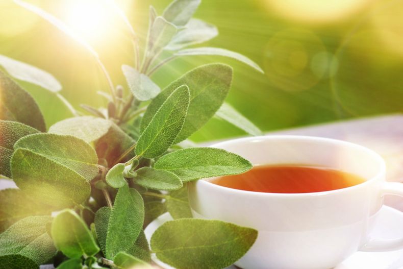La salvia tiene tanto propiedades decorativas, como medicinales y culinarias. (Semana)..jpg