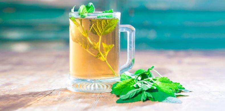 Tisana de melisa un día de Luna Nueva. (webconsultas.com)..jpg