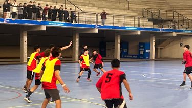 ELIMINATORIA. El Handball masculino se jugará el lunes 18 de agosto, en Pilar.
