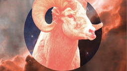 Bienvenida Temporada Aries 2026: de la visión a la acción Bienvenida Temporada Aries 2026: de la visión a la acción