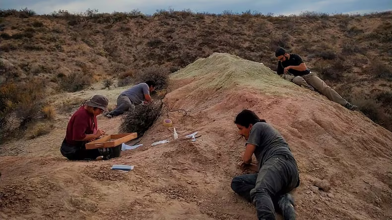 El descubrimiento se realizó cerca de General Roca. (@paleocueva.lacev).