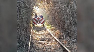 Hoy sábado se hizo un despeje desde estación Fátima hasta la entrada de barrio Carabassa pasando río Luján, junta a Diego, Leandro, Marcos, Iván, Nacho y quien les escribe. Gracias muchacho como siempre, ramal Urquiza. Hefemaq Ferrovíaria..