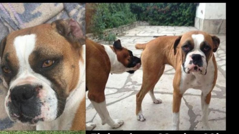 Lua se fue de su casa en la medianoche del domingo y su familia la busca. .