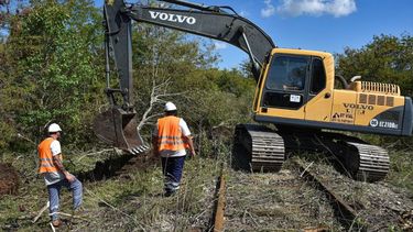 Se están realizando tareas de desmalezamiento en las estaciones de Solís y Diego Gaynor para evaluar la posibilidad de extender la traza hasta Areco. .