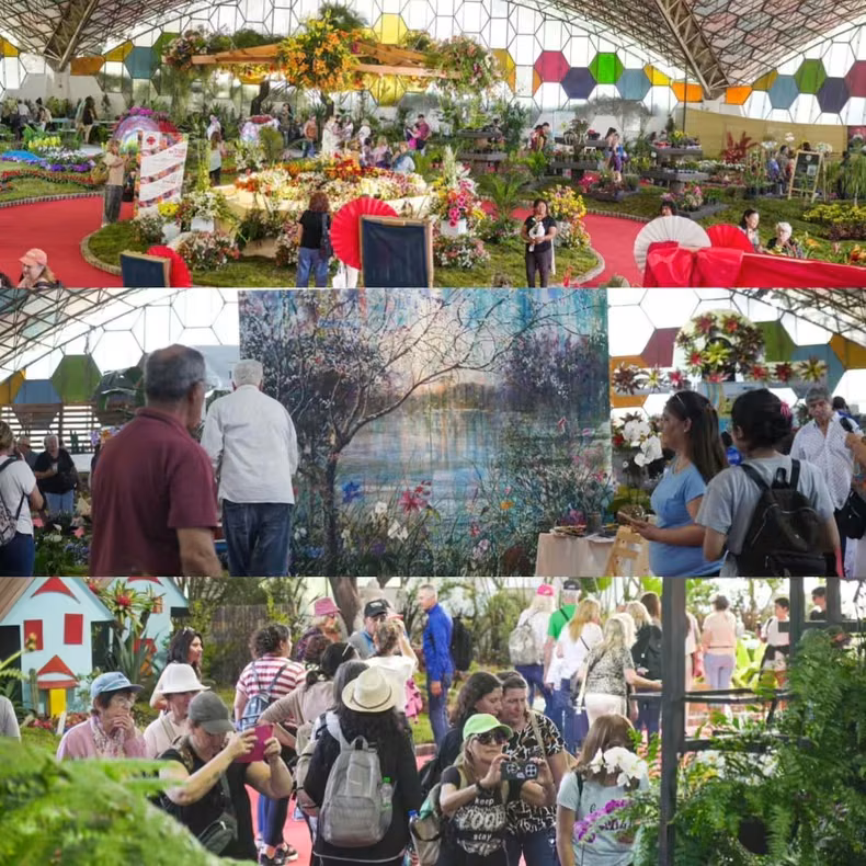 Buscan voluntarios para la Fiesta Nacional de la Flor . (IG/fiestanacionaldelaflor).